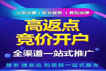 某SEM外包公司广告投放策略及效果评估